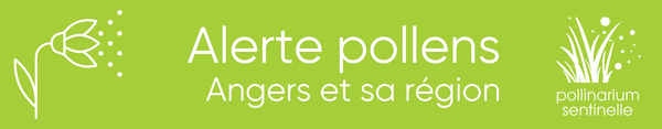 Pollinarium sentinelle d'Angers