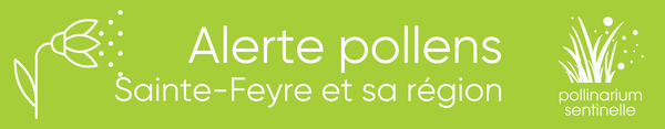 Pollinarium sentinelle de Sainte-Feyre (Guéret)