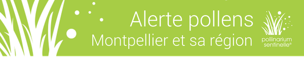 Pollinarium sentinelle de Montpellier