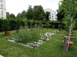 Pollinarium_Angers.JPG