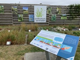 Pollinarium_La_Rochelle_FBh3lHC.JPG