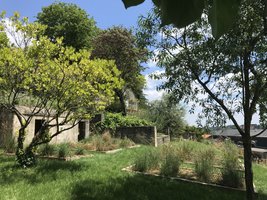 Pollinarium_Poitiers.JPG