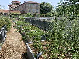 Pollinarium_Rennes.JPG
