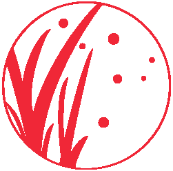 Marker